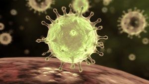 coronavirus celular